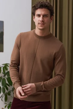 Pull en coton bio | camel 