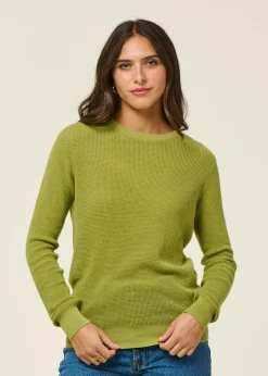 Pull en coton bio | vert 