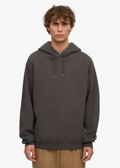 Sweat à capuche mixte en coton bio | gris 