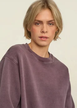 Sweat en coton bio | violet "classic organic crew - faded grape"
