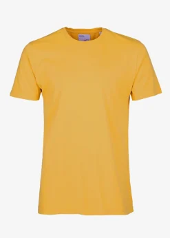 T-shirt jaune moutarde en coton bio - burned yellow